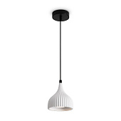 FR5582PL-01W