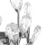 Lightstar 791614 Италия svet-magazin.ru 791614